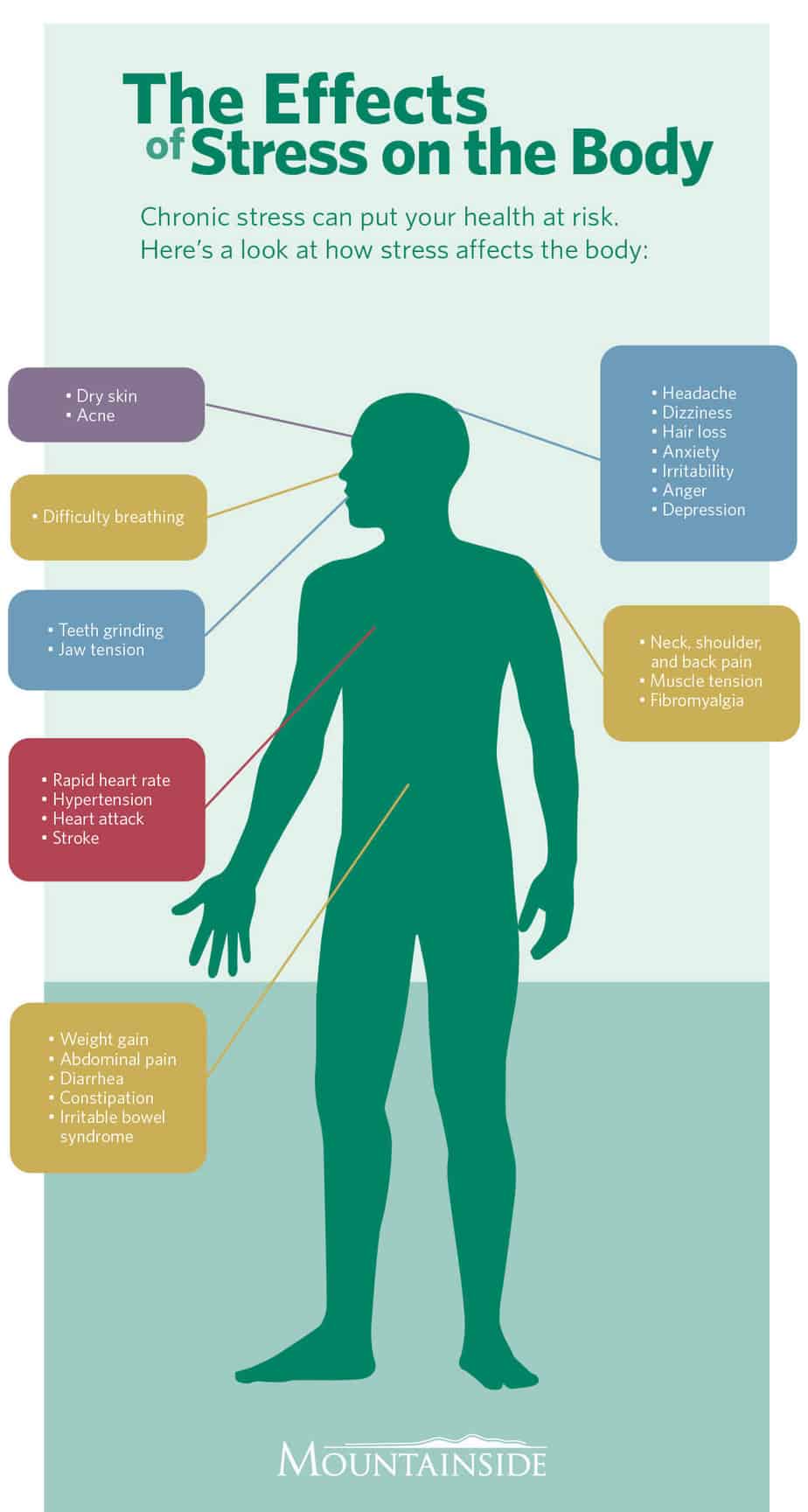 Stress and the body infographic