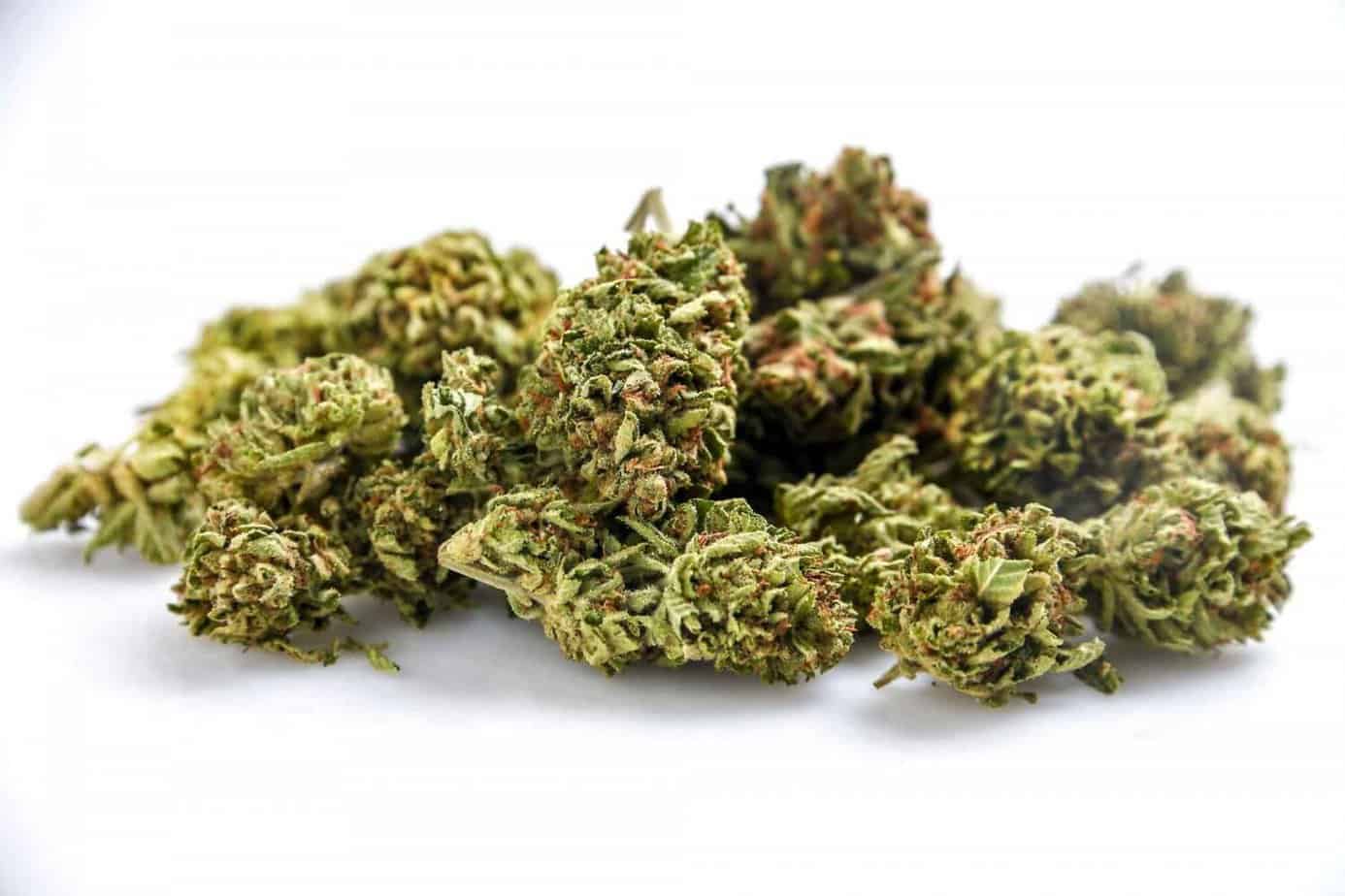 Marijuana Cannabis Leaves