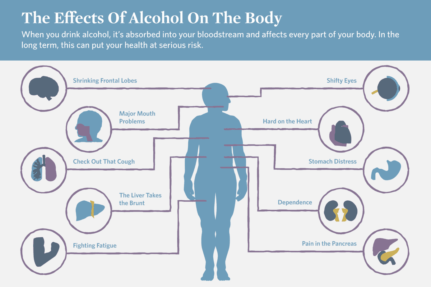 before and after alcohol brain