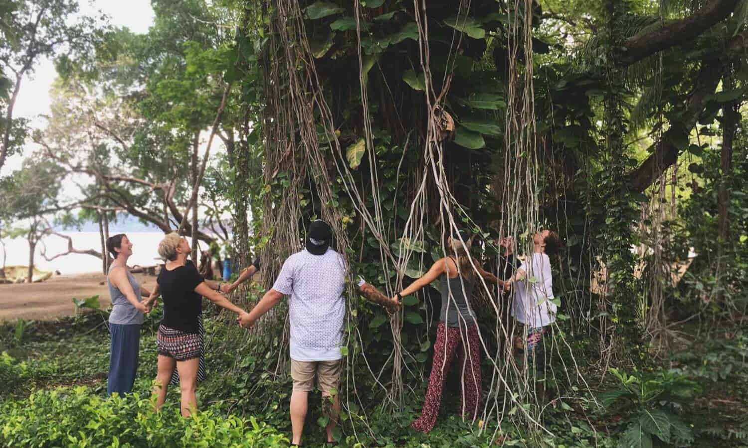 People hugging tree with vines at Mountainside Treatment Center Alumni 2017 Costa Rica trip
