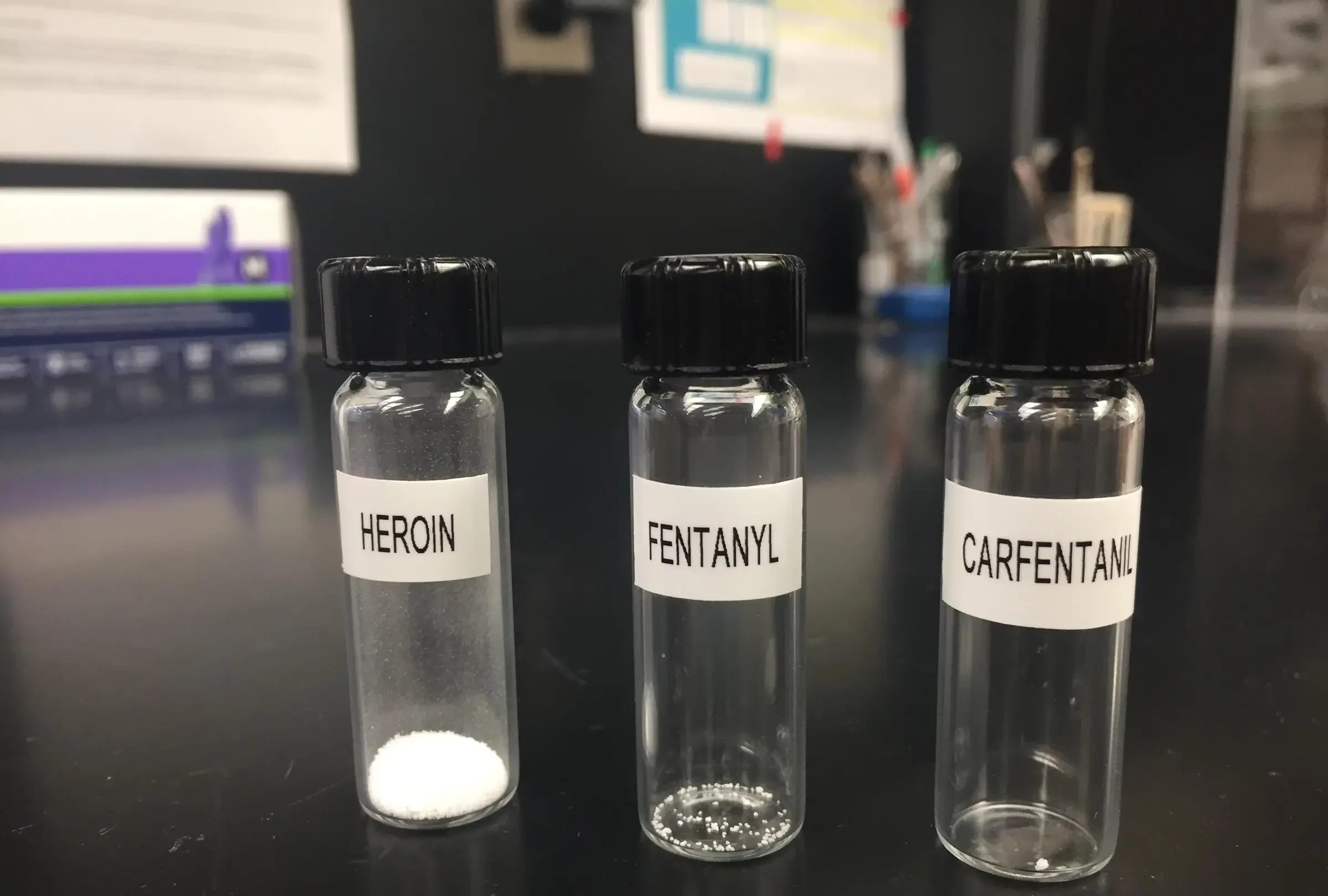 carfentanil, fentanyl, and heroin