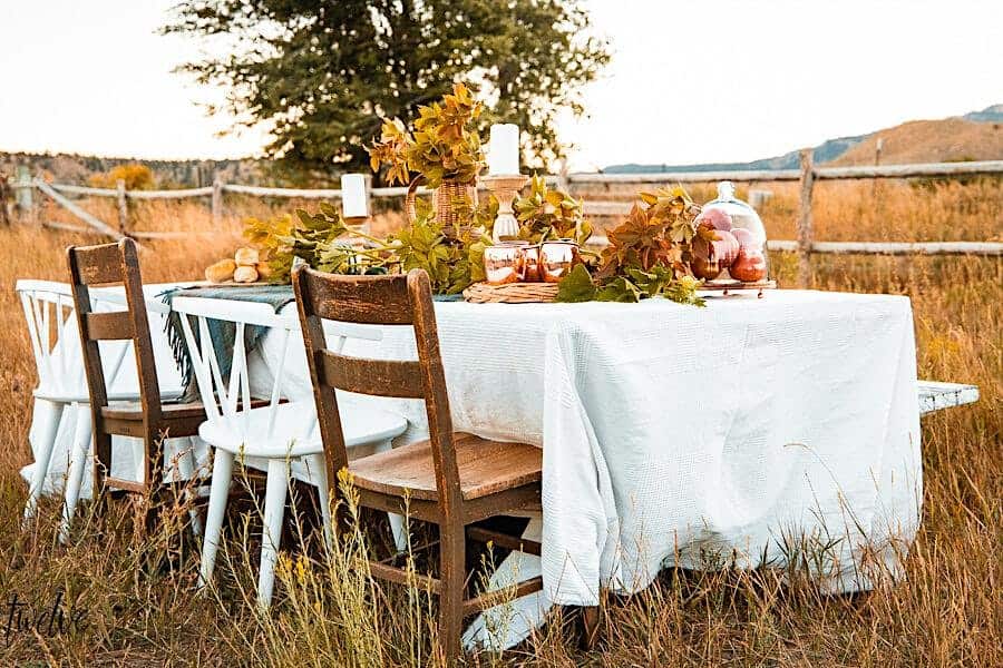 Outdoor rustic table and chairs with banquet, candles, and flowers in a field with fence