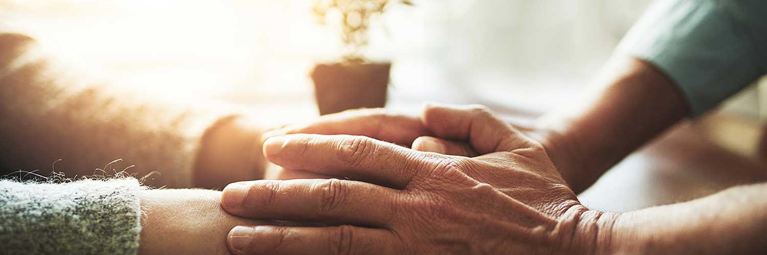 How to Give Back this Holiday Season