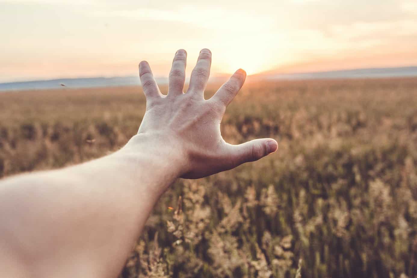 hand reaching outward toward the sun in the middle of a field