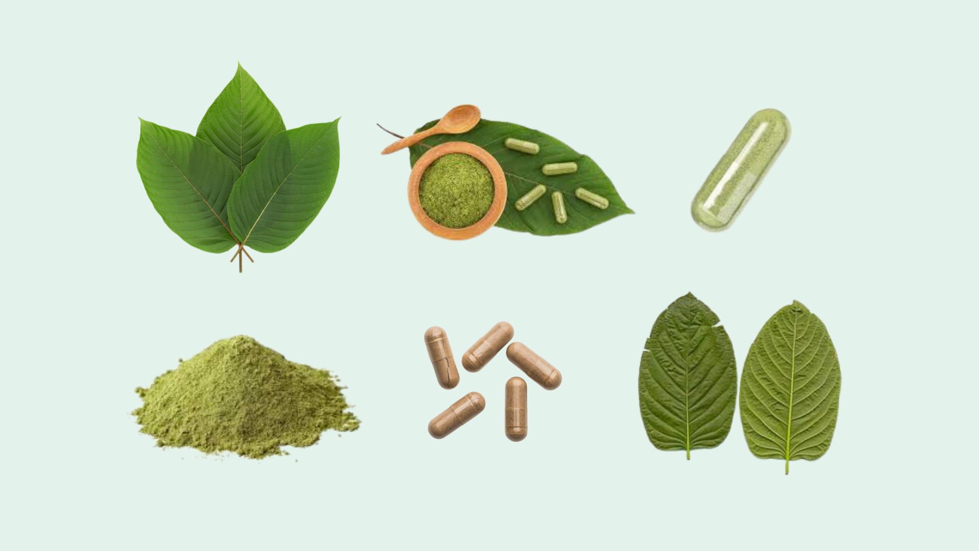 kratom leaves, pills and other forms of the substance