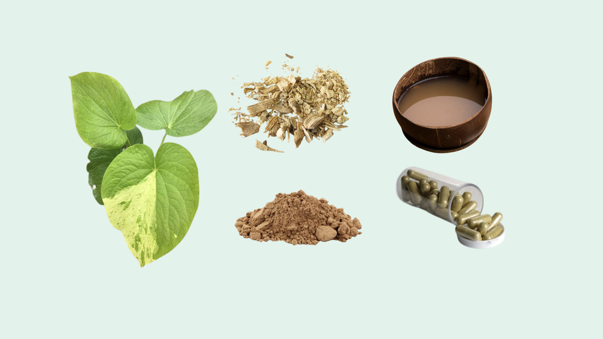 forms of kava